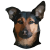 caitlyn38's Avatar