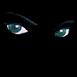 mills.billy's Avatar