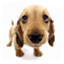 liliane.jenkins's Avatar